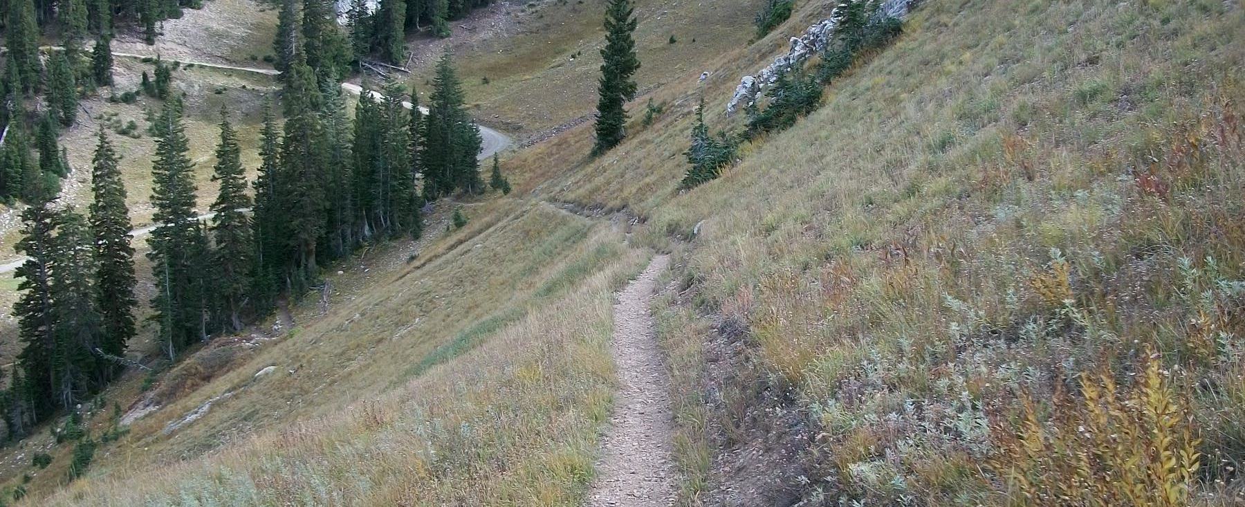 Downhill Designs
